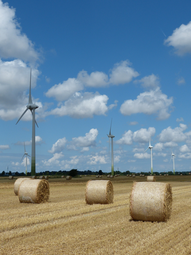 OSTFRIESISCHER WETTERBERICHT 2014/07/30