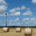 OSTFRIESISCHER WETTERBERICHT 2014/07/30