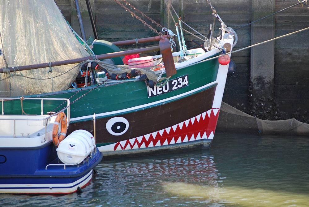 Ostfriesisches Drachenboot ...