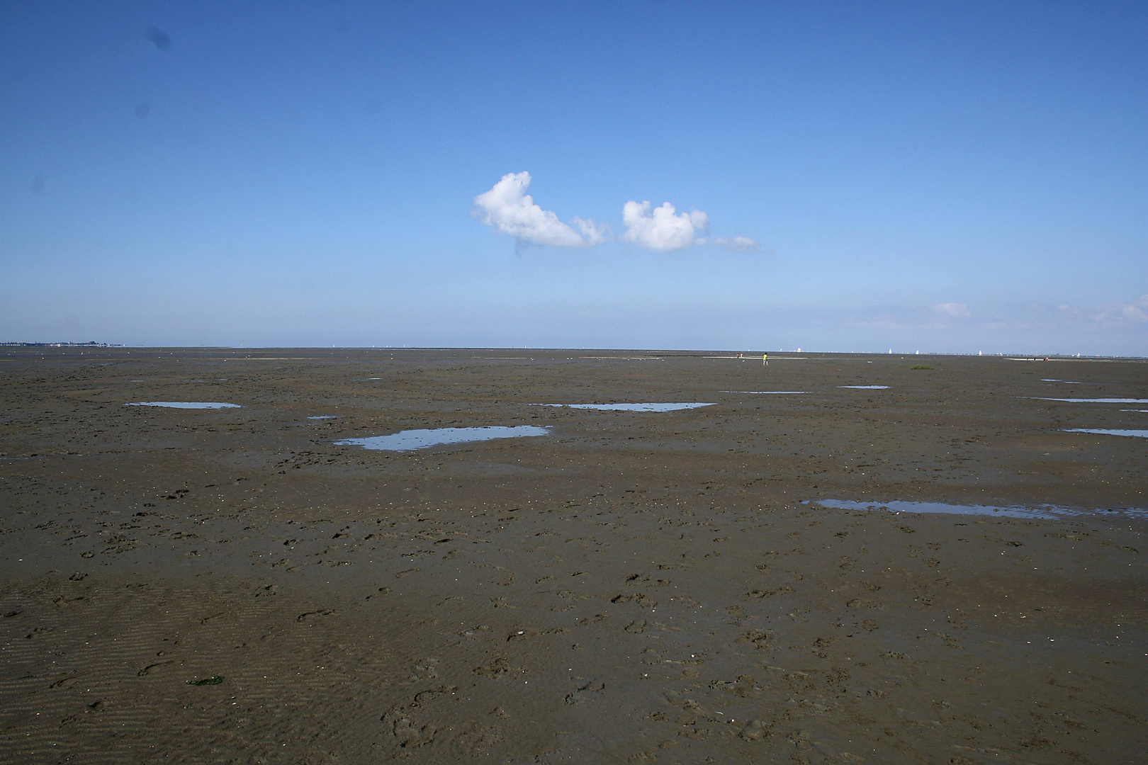 Ostfriesisches Wattenmeer Hooksiel / Dangast II 2