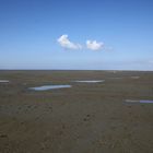 Ostfriesisches Wattenmeer Hooksiel / Dangast II 2