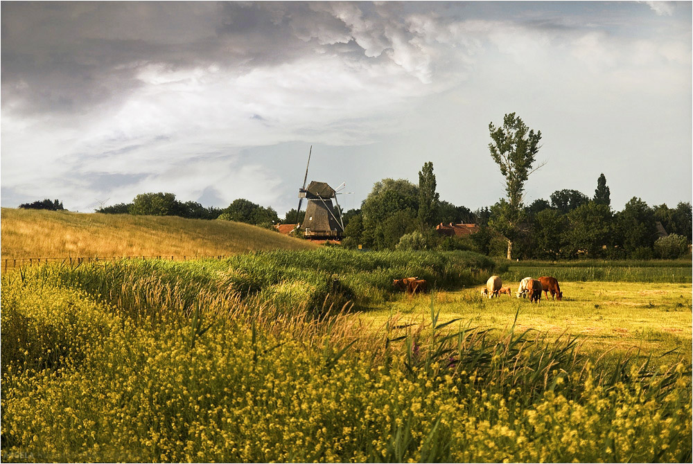 Ostfriesland von Angela Hofmann 