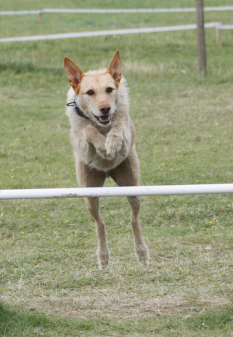 Ostfriesland 2010