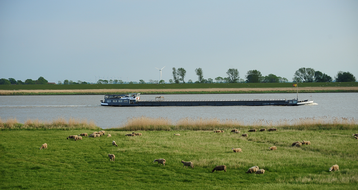 Ostfriesland 2011