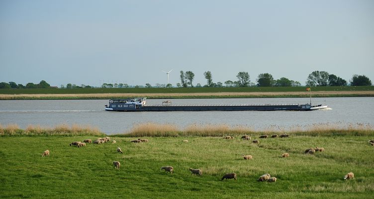 Ostfriesland 2011