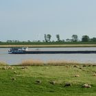 Ostfriesland 2011