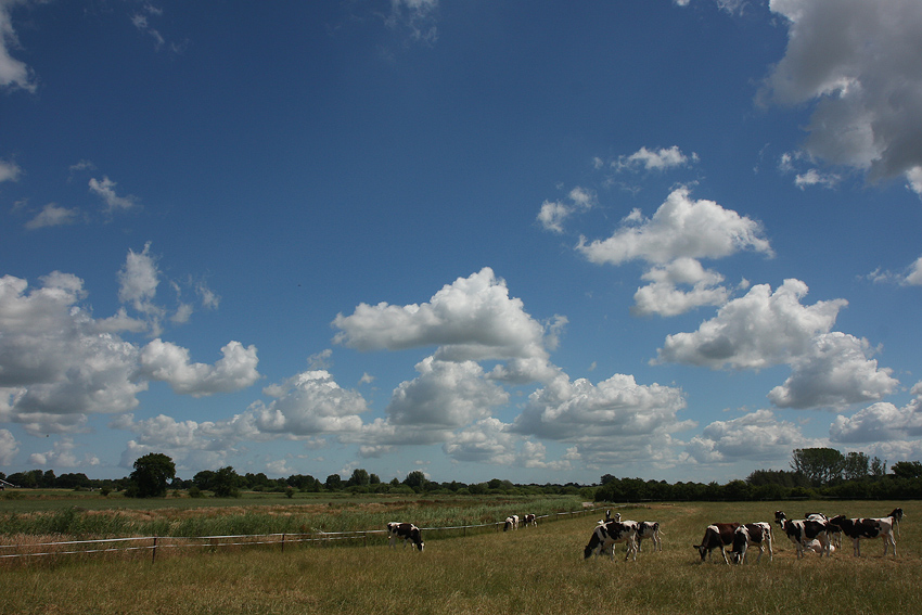 Ostfriesland