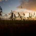 Ostfriesland am Abend