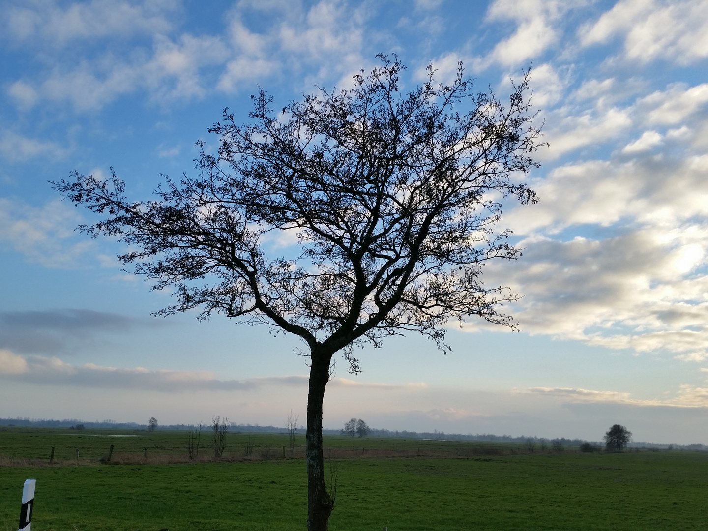 Ostfriesland Amdorf 1