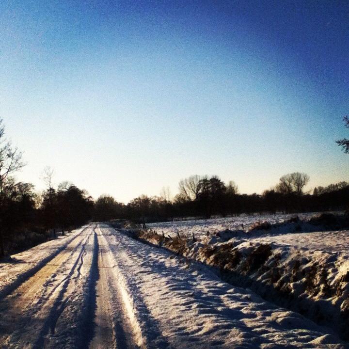 Ostfriesland bei Schnee