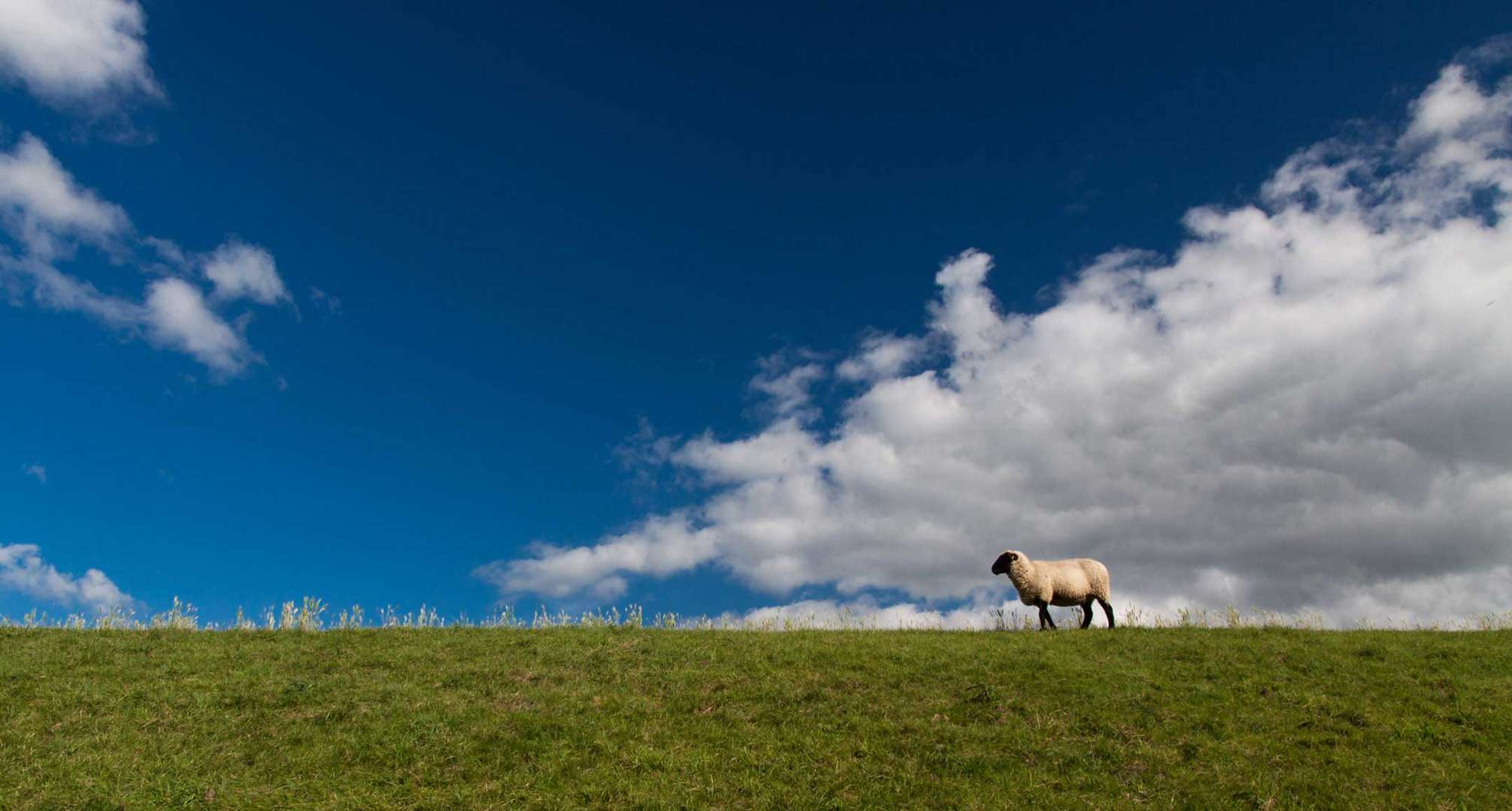 Ostfriesland