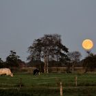 Ostfriesland erleuchtet ...