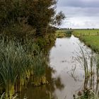 Ostfriesland, herb wie das Jever Pils - aber schööööön......