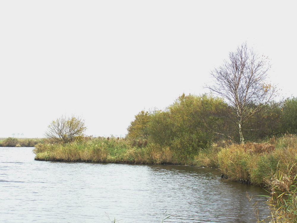 Ostfriesland im Herbst (2)