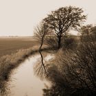 Ostfriesland im März.....