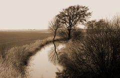 Ostfriesland im März.....