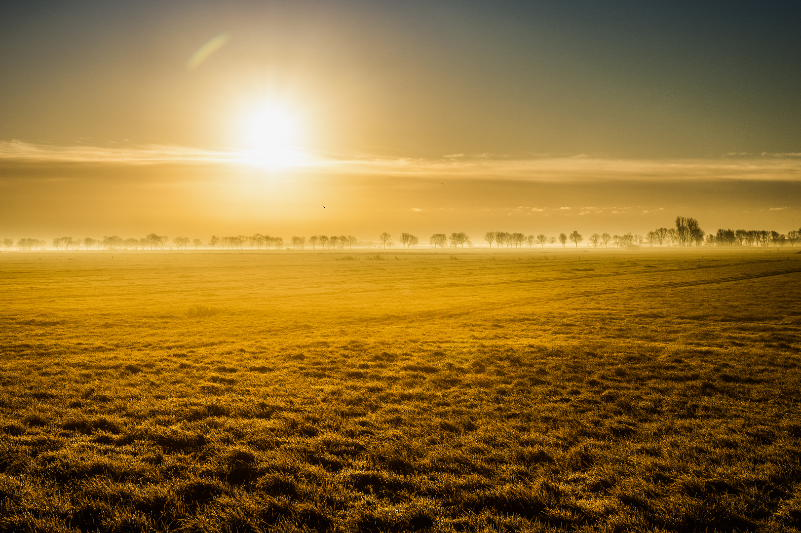 Ostfriesland im November