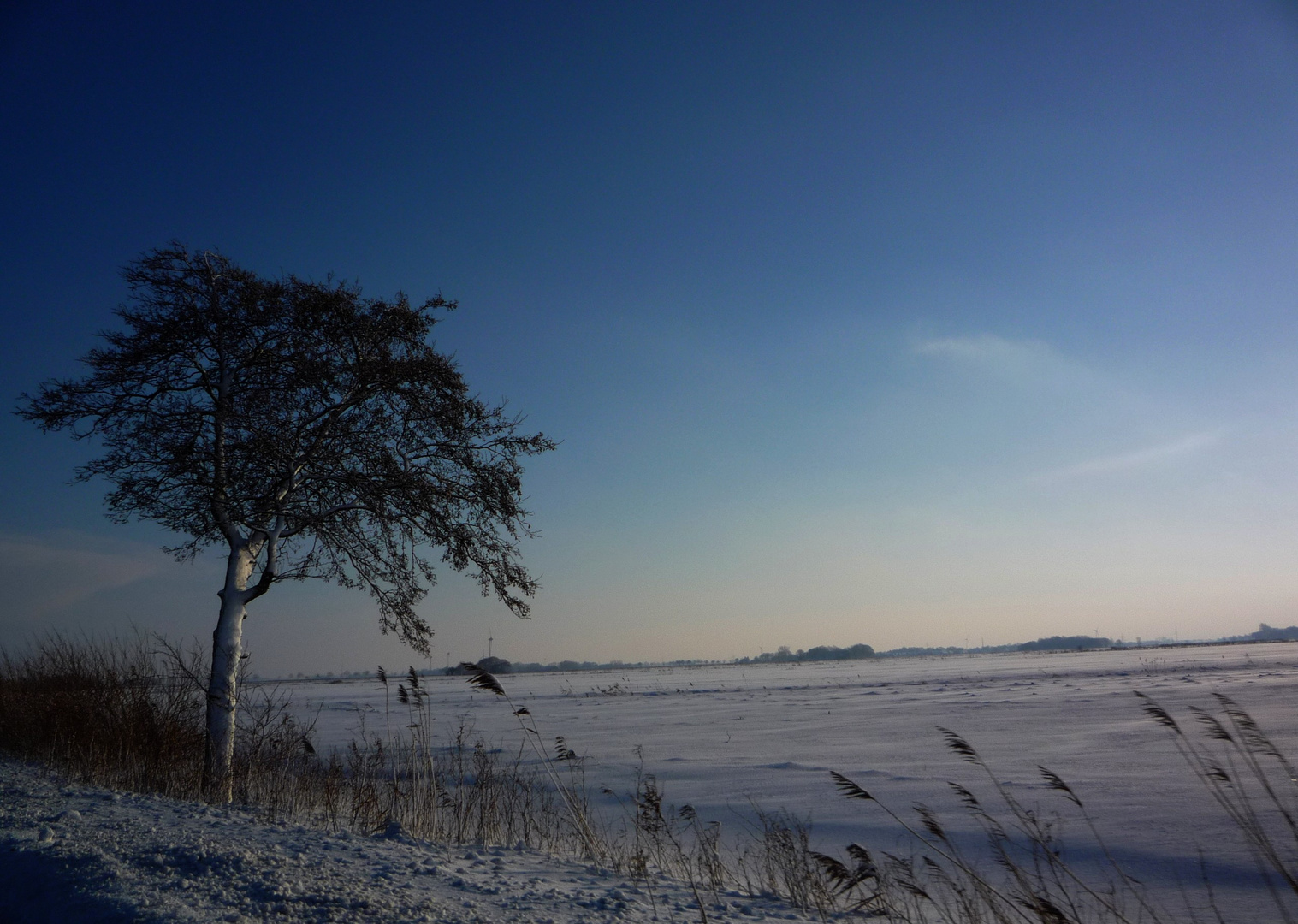 Ostfriesland im Schnee