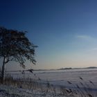 Ostfriesland im Schnee