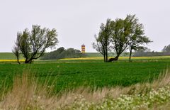 Ostfriesland im Sturm