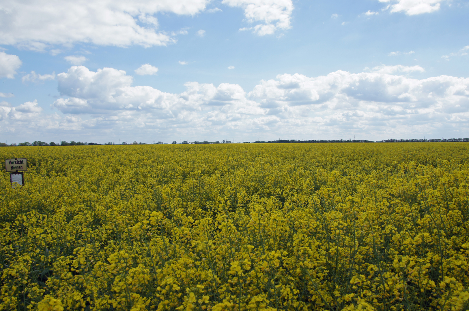 Ostfriesland Mai 2012 I