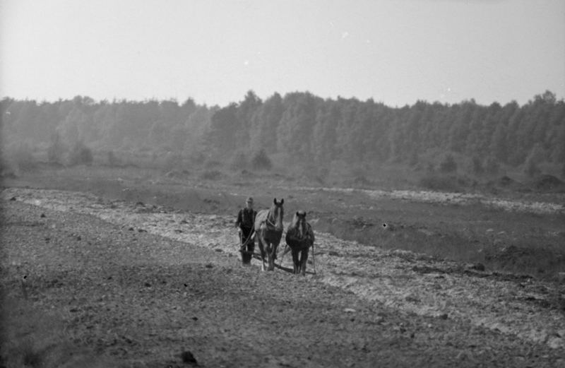 Ostfriesland Nostalgie vor 30 Jahren.......