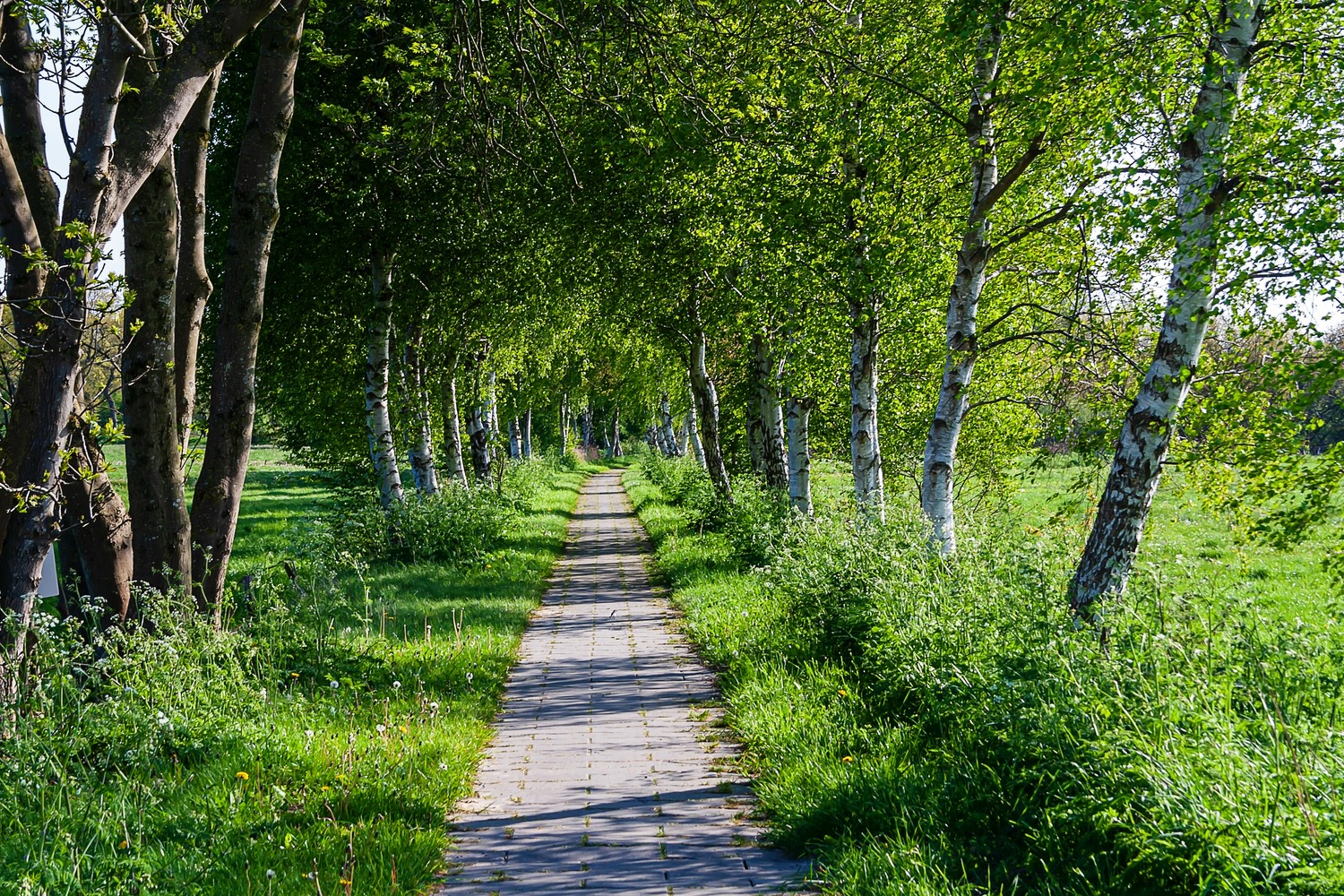 Ostfriesland-Wanderweg