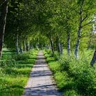 Ostfriesland-Wanderweg