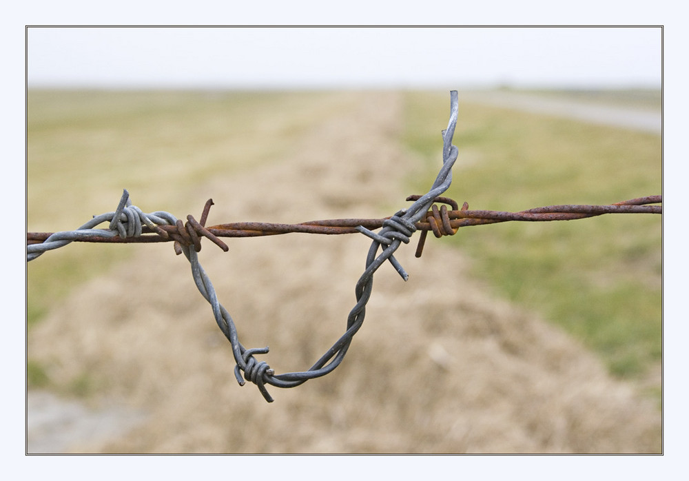 Ostfriesland, wo das Meer eingezäunt wurde