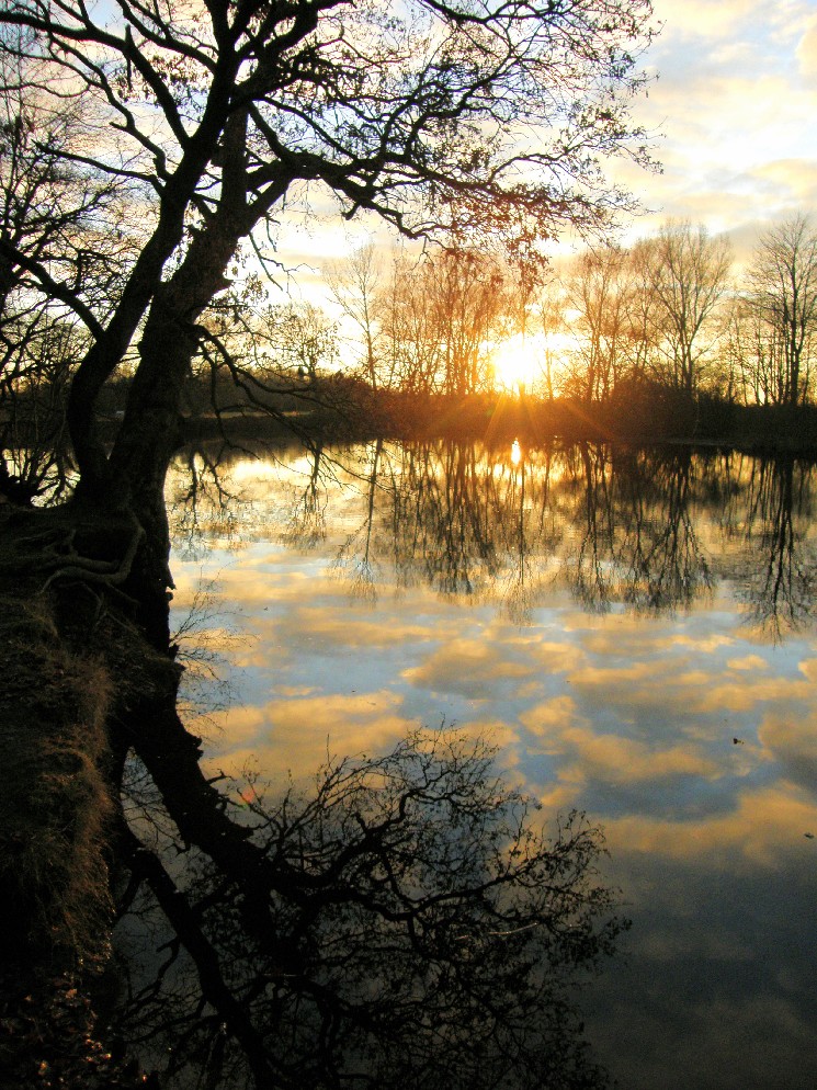 Ostfrieslands Abendstimmung ;-)