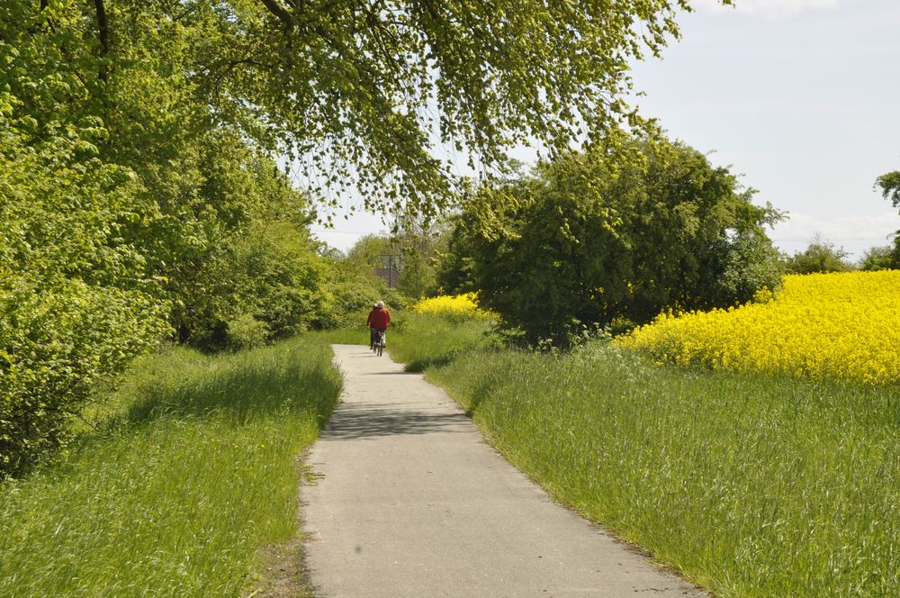 Ostholstein im Frühling