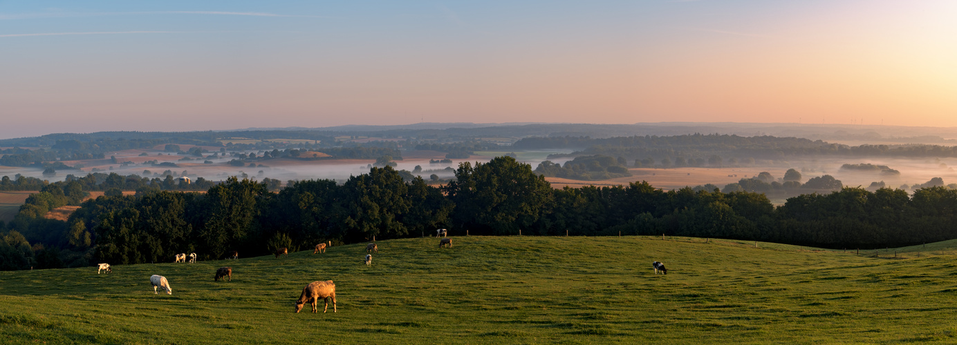 Ostholstein Panorama