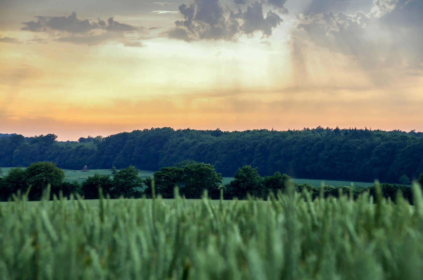 Ostholsteiner Land