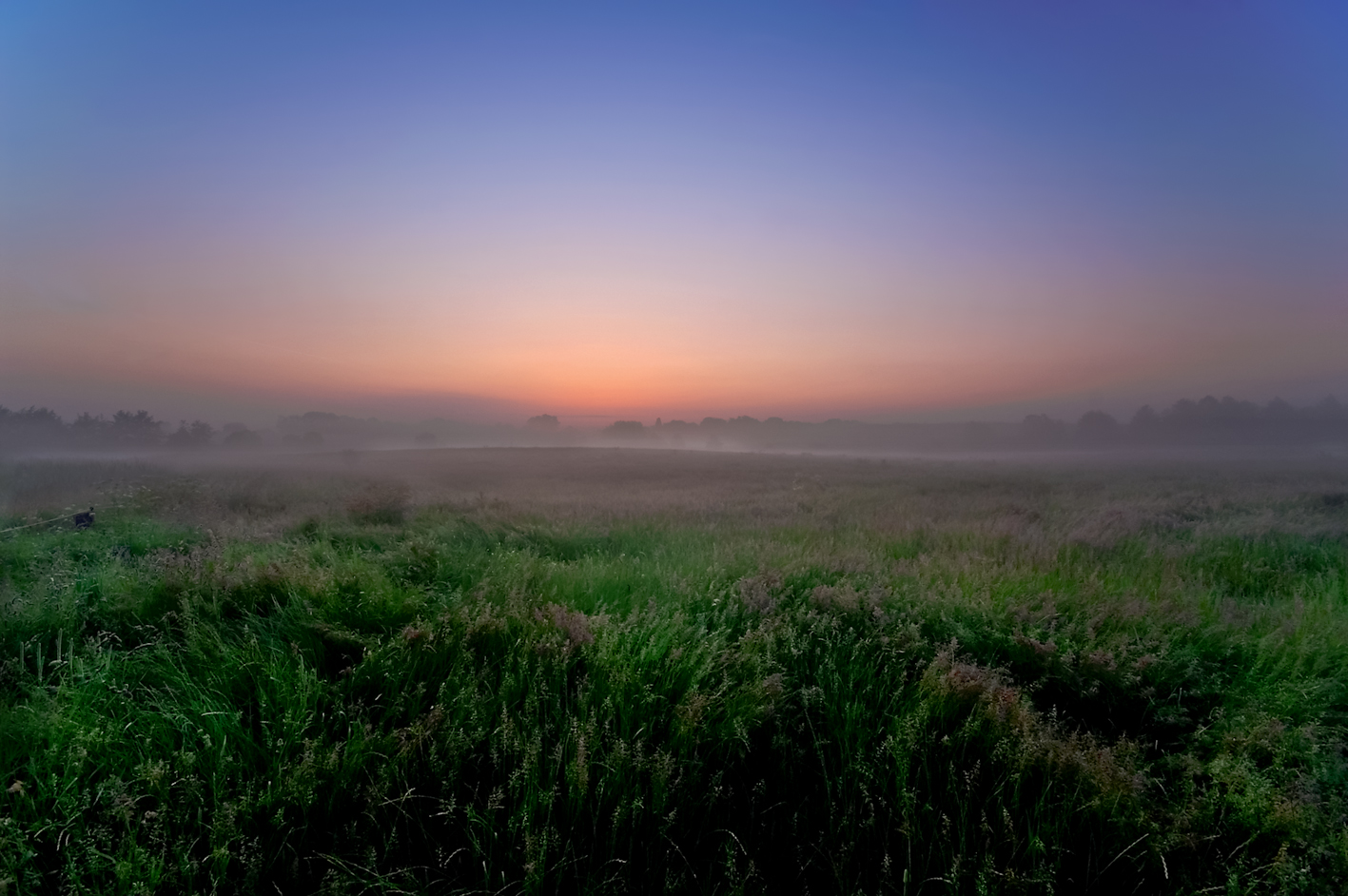 Ostholsteiner Morgen