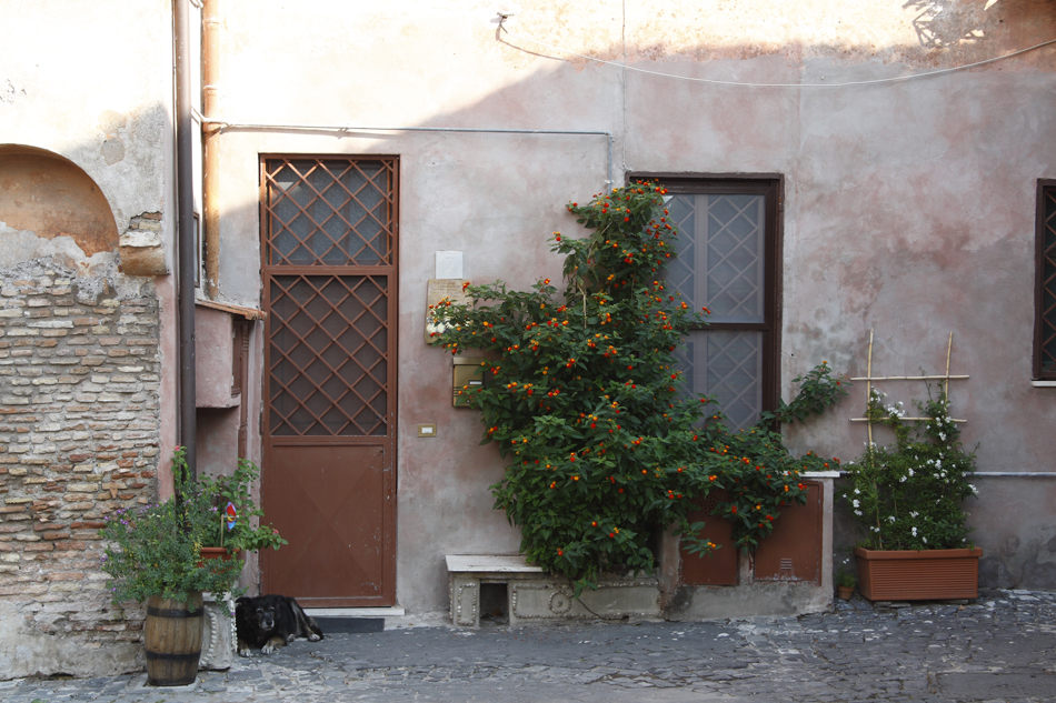 Ostia Antica 01