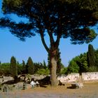  Ostia Antica 