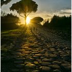 Ostia Antica