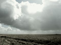 "Ostland" auf Borkum