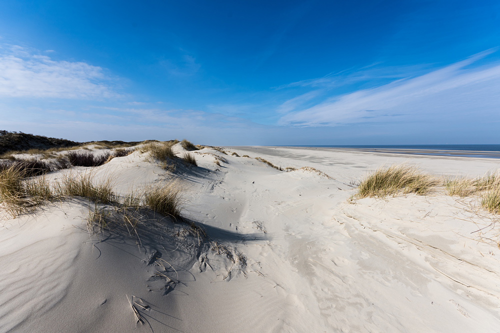 Ostland von Borkum