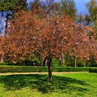 Ostpark im Frühling...Frankfurt ist schön...03