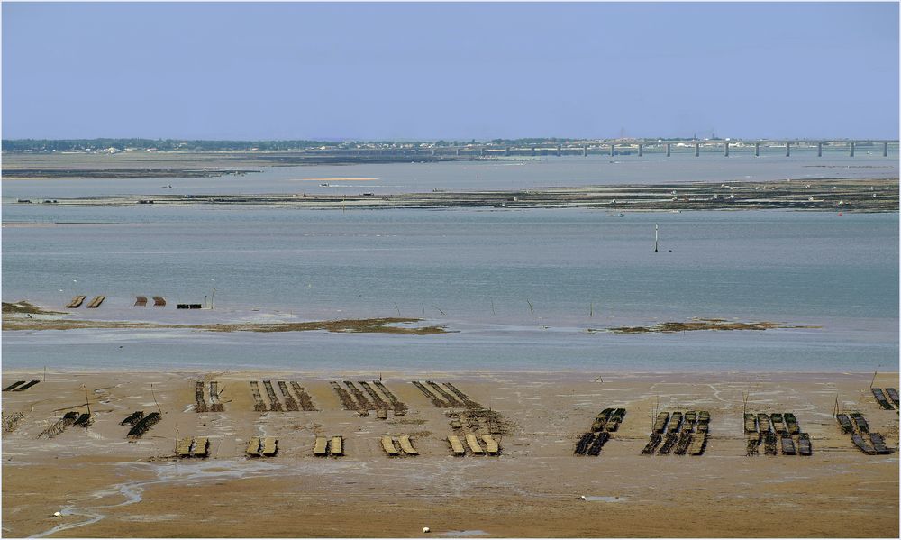 Ostréiculture dans le bassin de Marennes-Oléron