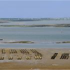 Ostréiculture dans le bassin de Marennes-Oléron