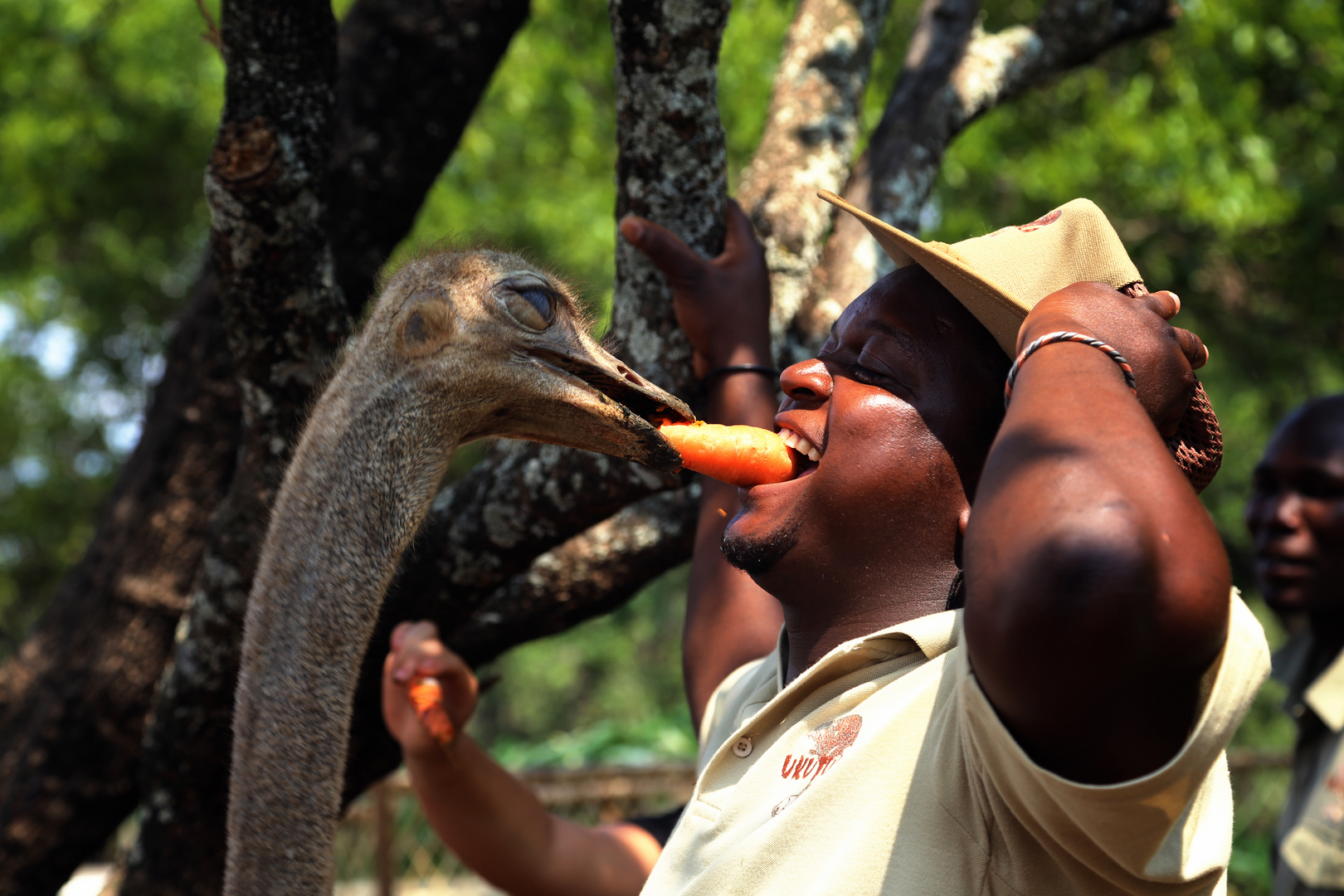 Ostrich-Kiss