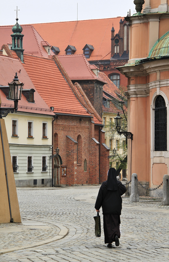 Ostrów Tumski, Dominsel