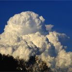 Ostschweizer Mont Blanc