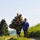 Ostschweizer Senn beim Almabzug