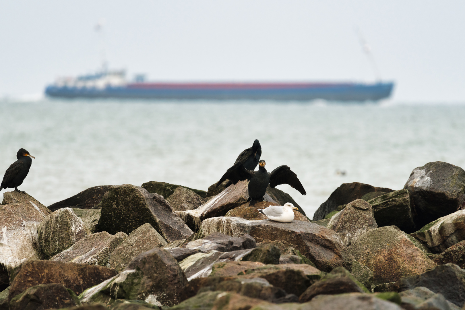 Ostsee 04