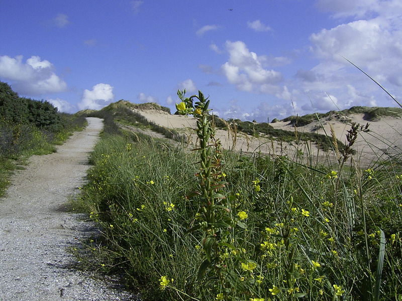 ostsee