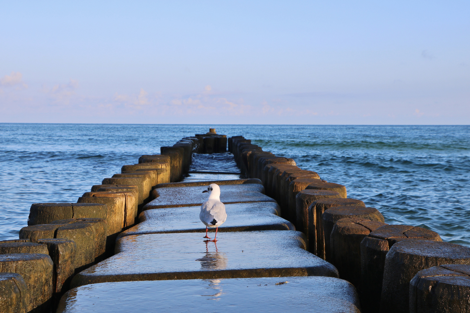 Ostsee '18 