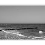 Ostsee 2008 - 3